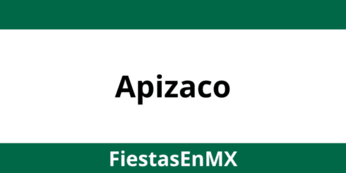 Salones de fiestas en Apizaco